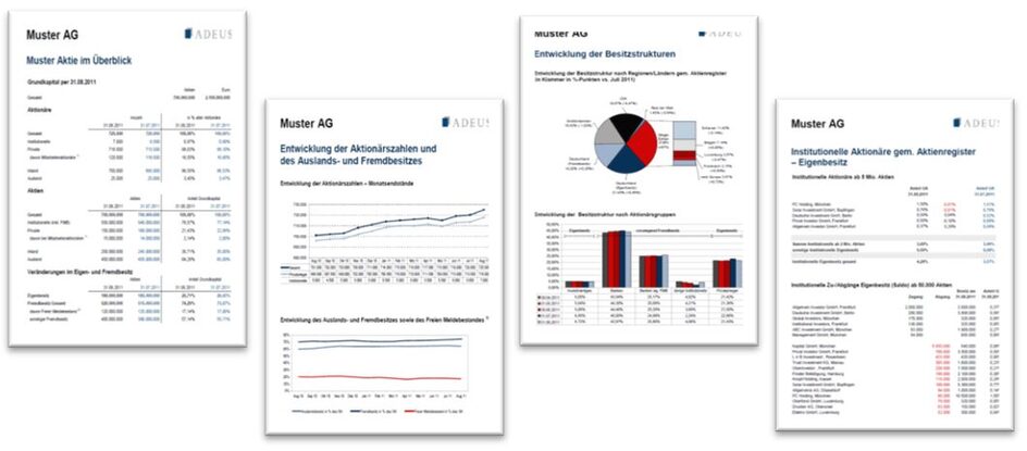 Infografik - Muster AG Auswertungen